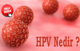HPV virüsü